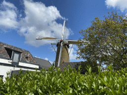 Front of the Korenbloem windmill, viewed from the Molenstraat street