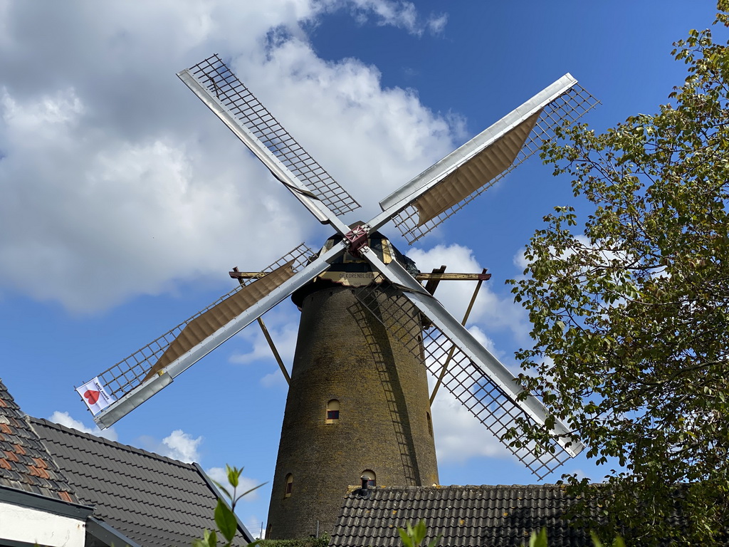Front of the Korenbloem windmill, viewed from the Molenstraat street