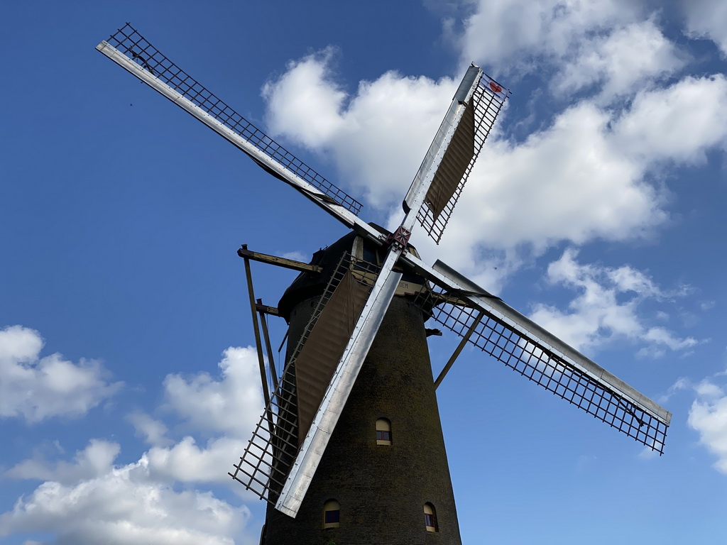 Front of the Korenbloem windmill, viewed from the Molenstraat street