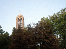 Dom Tower and trees at the Oudegracht canal