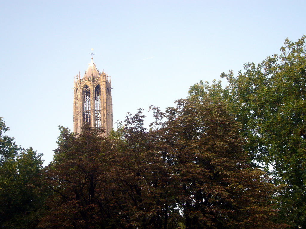 Dom Tower and trees at the Oudegracht canal