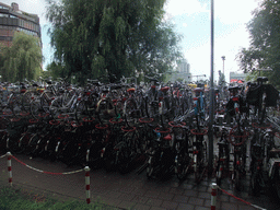 Bicycle parking lot near the Utrecht Centraal railway station