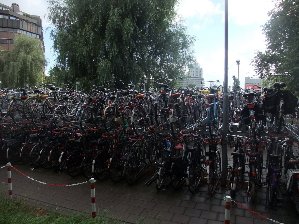 Bicycle parking lot near the Utrecht Centraal railway station