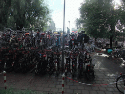 Bicycle parking lot near the Utrecht Centraal railway station