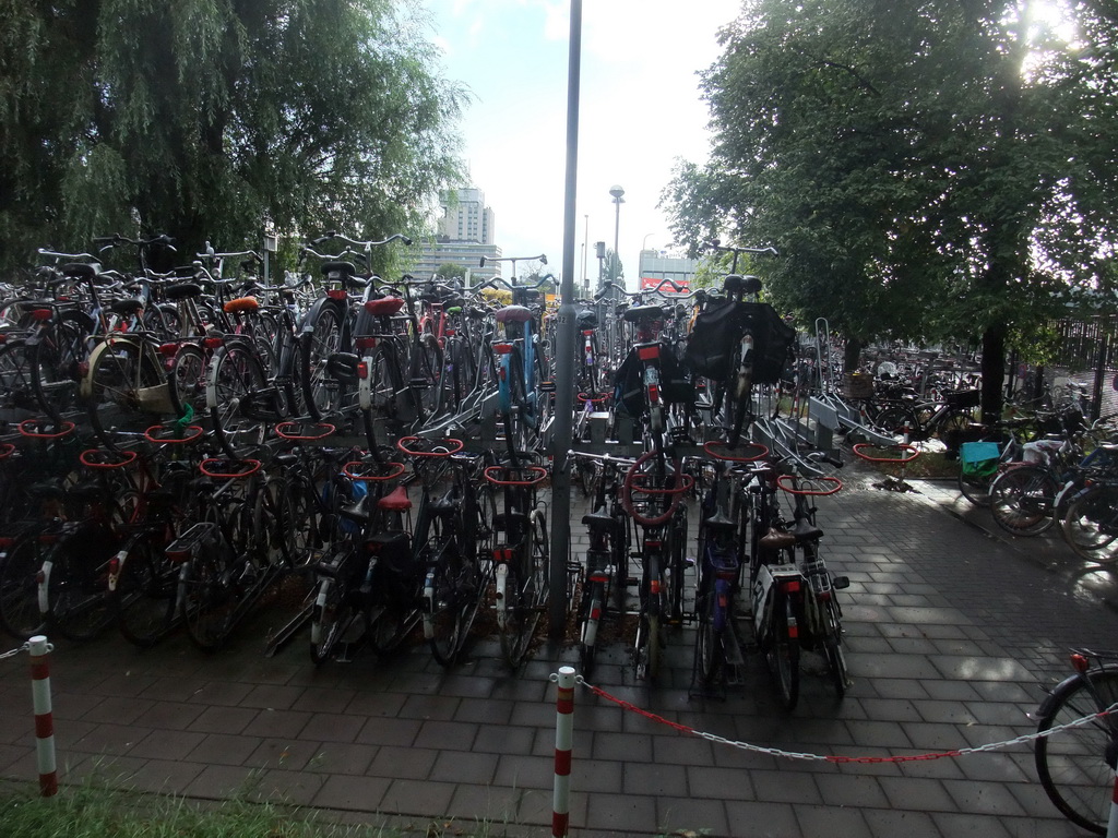 Bicycle parking lot near the Utrecht Centraal railway station