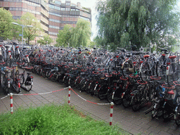 Bicycle parking lot near the Utrecht Centraal railway station