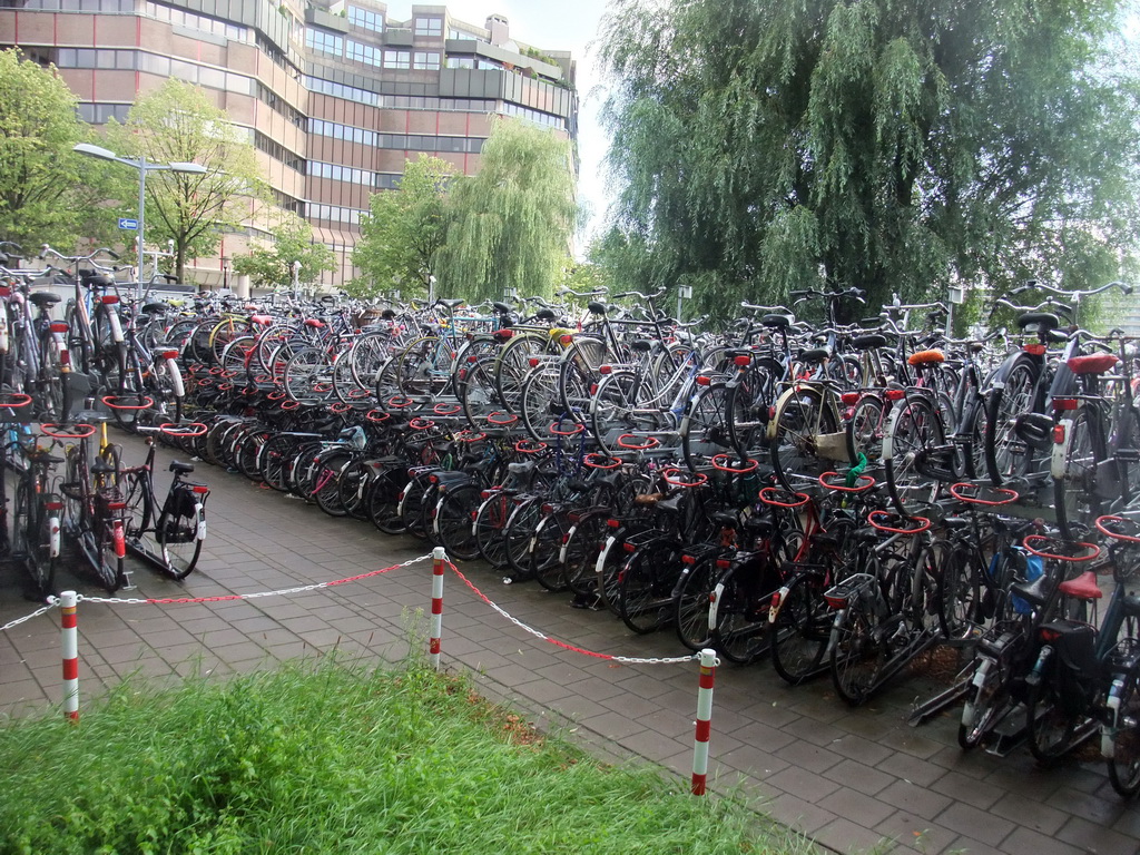 Bicycle parking lot near the Utrecht Centraal railway station