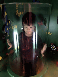 Max in a glass cilinder at the Animal Room at the upper floor of the Nijntje Winter Museum