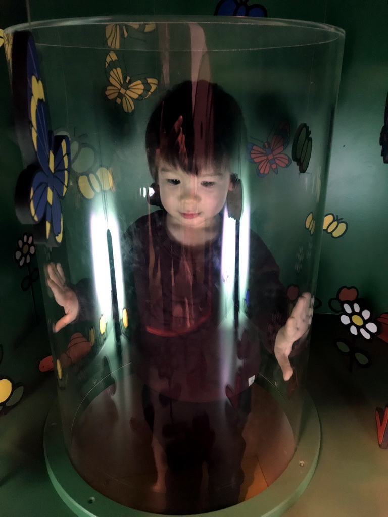 Max in a glass cilinder at the Animal Room at the upper floor of the Nijntje Winter Museum