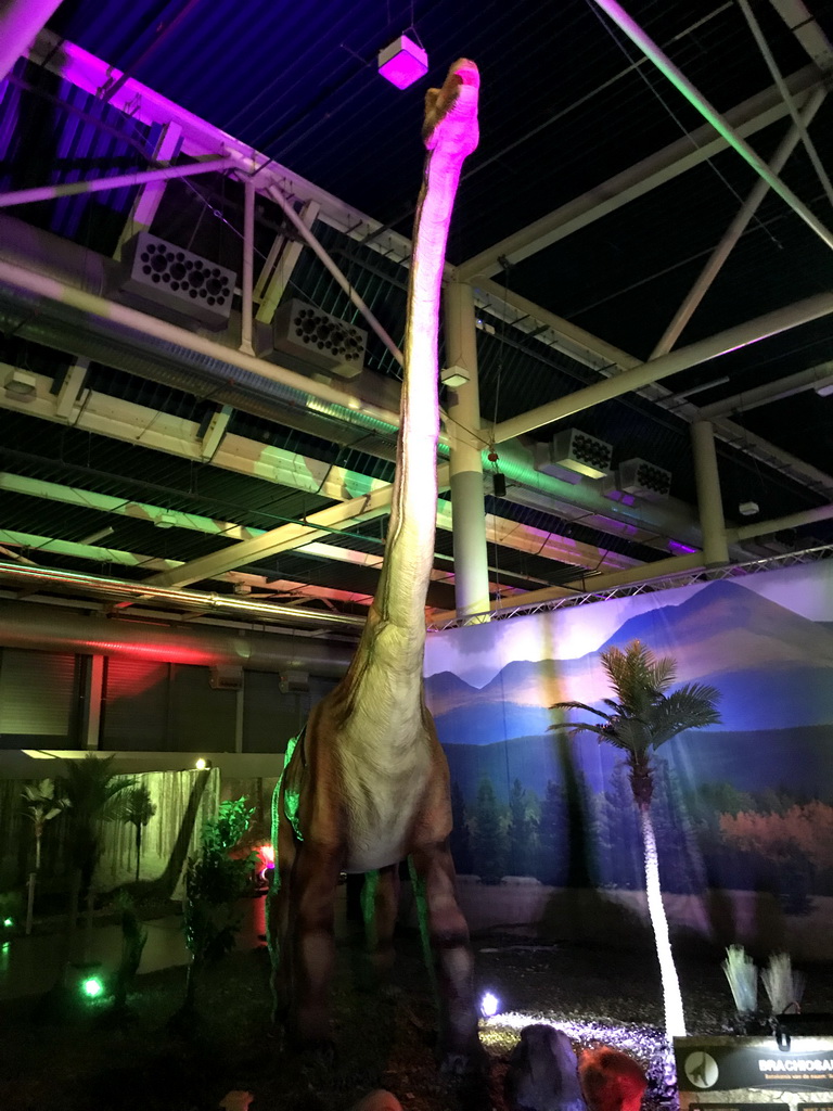 Brachiosaurus statue at the World of Dinos exhibition at the Jaarbeurs building, with explanation