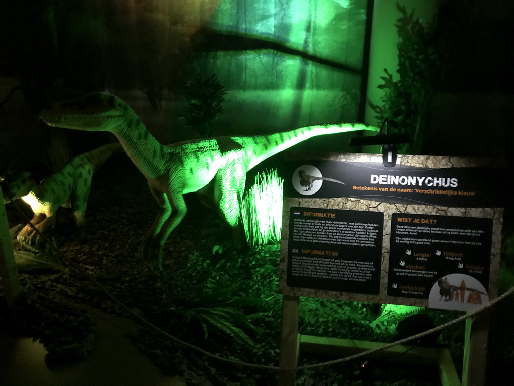 Deinonychus statue at the World of Dinos exhibition at the Jaarbeurs building, with explanation