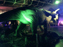 Kosmoceratops statue at the World of Dinos exhibition at the Jaarbeurs building