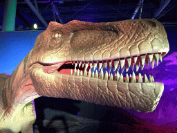 Head of a Herrerasaurus statue at the World of Dinos exhibition at the Jaarbeurs building