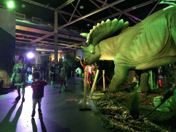 Max with a Triceratops statue at the World of Dinos exhibition at the Jaarbeurs building
