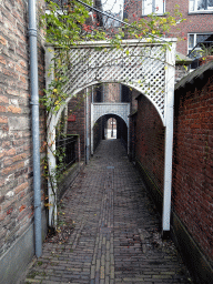 Alley from the Florahof garden to the Domplein square