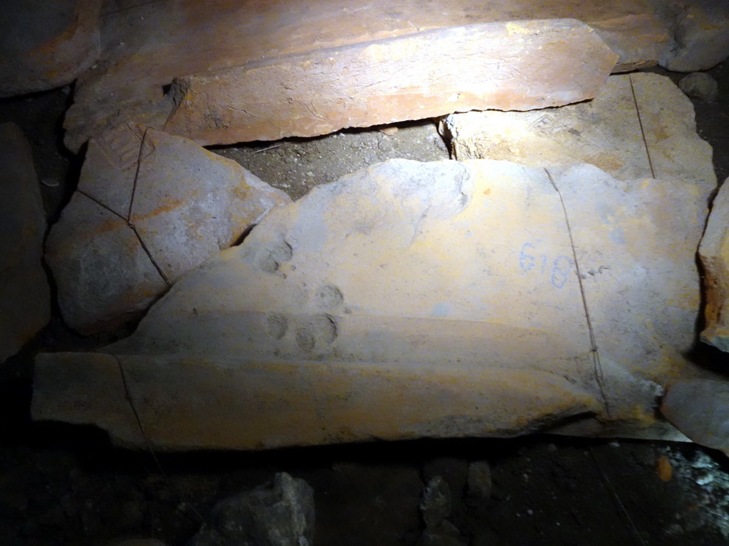 Old stones with Roman inscriptions and footprint of a dog at the DomUnder exhibition under the Domplein square