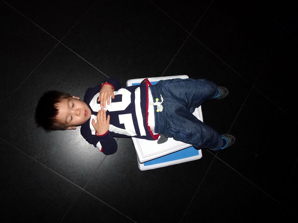 Max lying on the floor of the Museum Room at the ground floor of the Nijntje Winter Museum