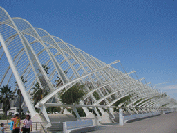 Northeast side of the Umbracle botanical garden at the Ciudad de las Artes y las Ciencias complex