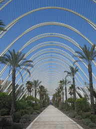 East side of the Umbracle botanical garden at the Ciudad de las Artes y las Ciencias complex