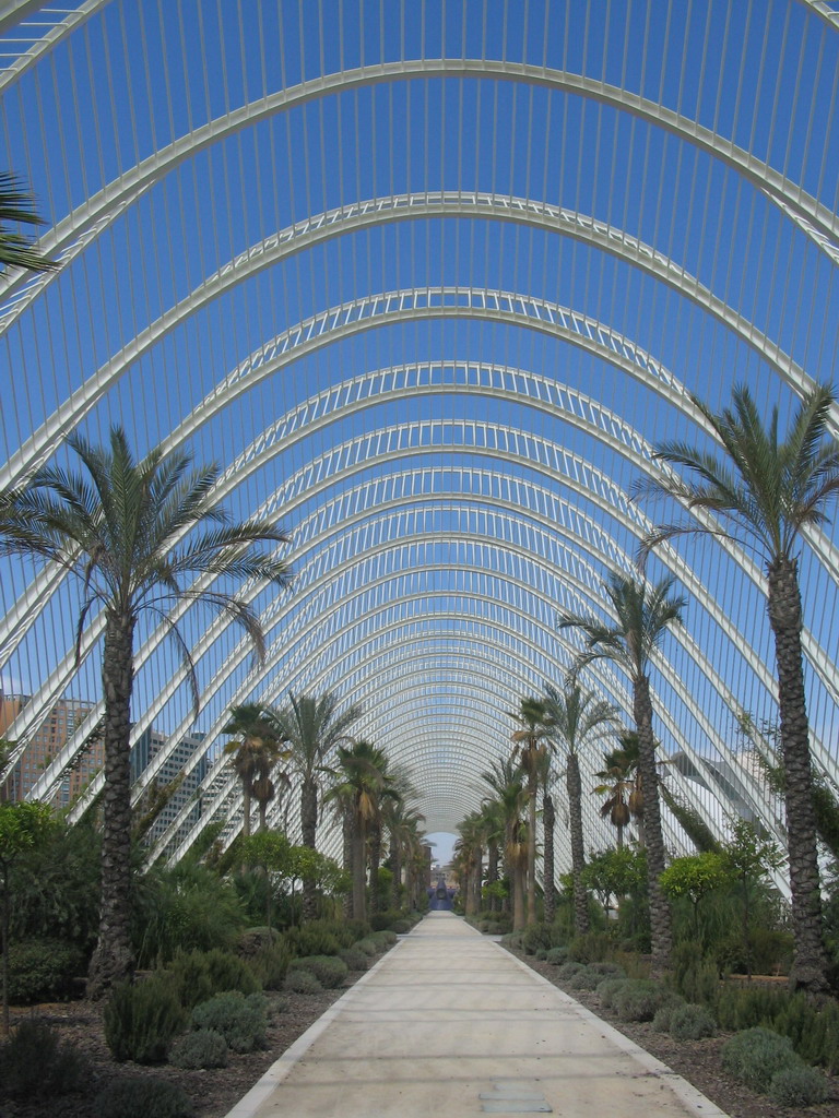 East side of the Umbracle botanical garden at the Ciudad de las Artes y las Ciencias complex