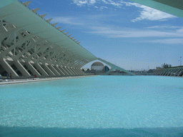 The pond at the southwest side of the Museu de les Ciències Príncipe Felipe museum and the Oceanogràfic aquarium with the Wetlands Aviary at the Ciudad de las Artes y las Ciencias complex