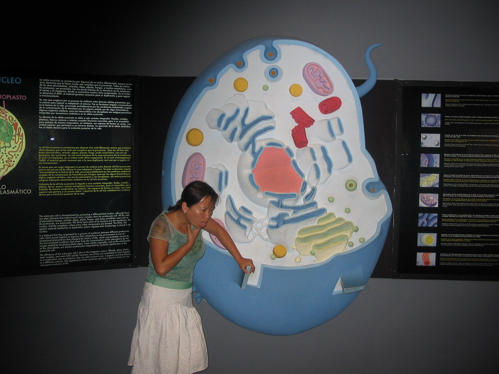 Miaomiao with a scale model of a Eukaryotic cell at the Museu de les Ciències Príncipe Felipe museum at the Ciudad de las Artes y las Ciencias complex