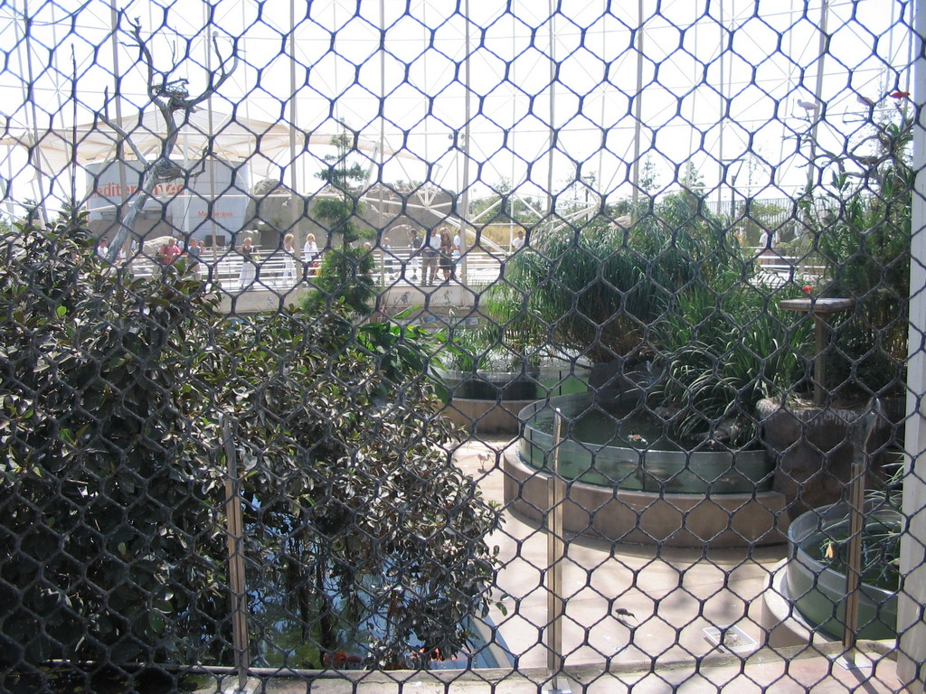 Interior of the Wetlands Aviary at the Oceanogràfic aquarium at the Ciudad de las Artes y las Ciencias complex