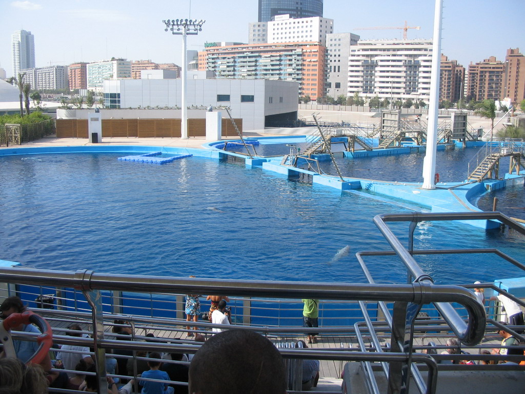 The Delphinarium area at the Oceanogràfic aquarium at the Ciudad de las Artes y las Ciencias complex