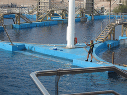 Zookeeper at the Delphinarium area at the Oceanogràfic aquarium at the Ciudad de las Artes y las Ciencias complex