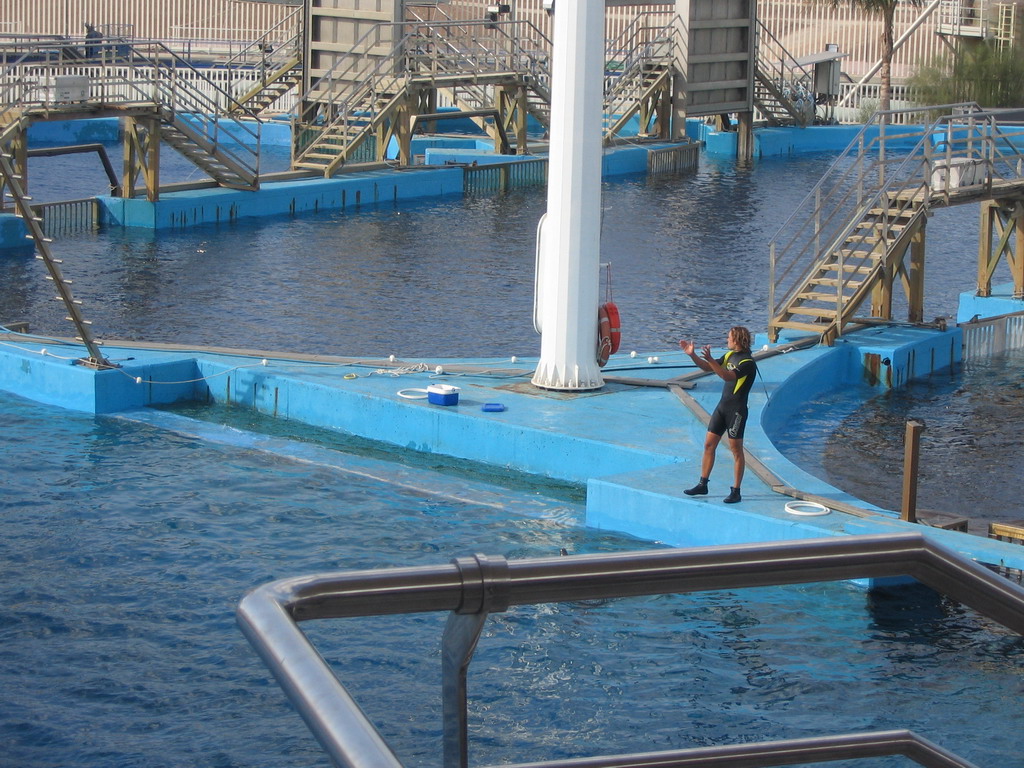 Zookeeper at the Delphinarium area at the Oceanogràfic aquarium at the Ciudad de las Artes y las Ciencias complex