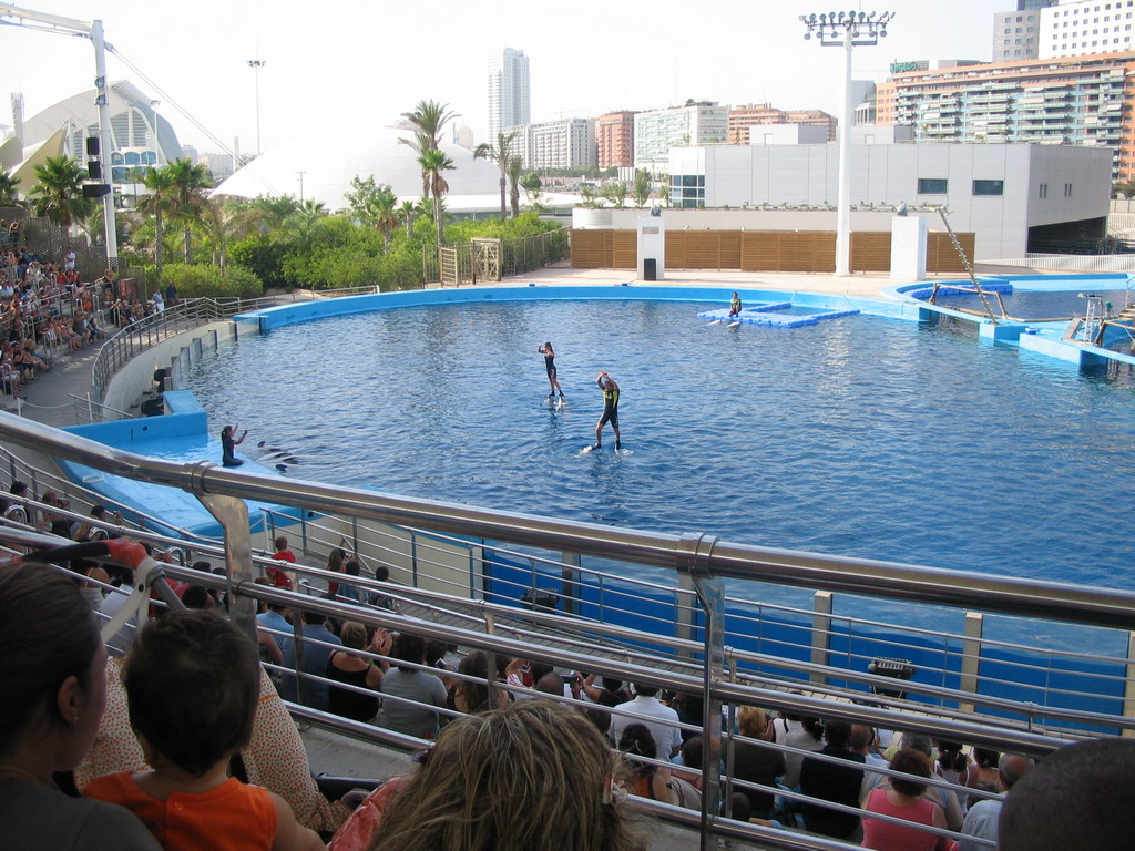 Zookeepers and Dolphins at the Delphinarium area at the Oceanogràfic aquarium at the Ciudad de las Artes y las Ciencias complex