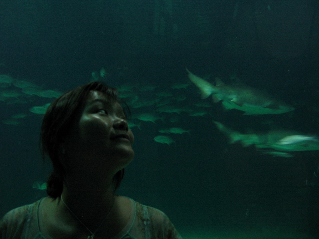 Miaomiao with Sharks and other fish at the Oceanogràfic aquarium at the Ciudad de las Artes y las Ciencias complex