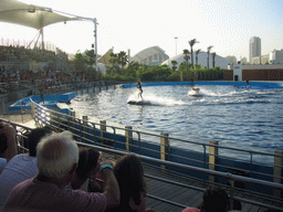 Zookeepers and Dolphins at the Delphinarium area at the Oceanogràfic aquarium at the Ciudad de las Artes y las Ciencias complex