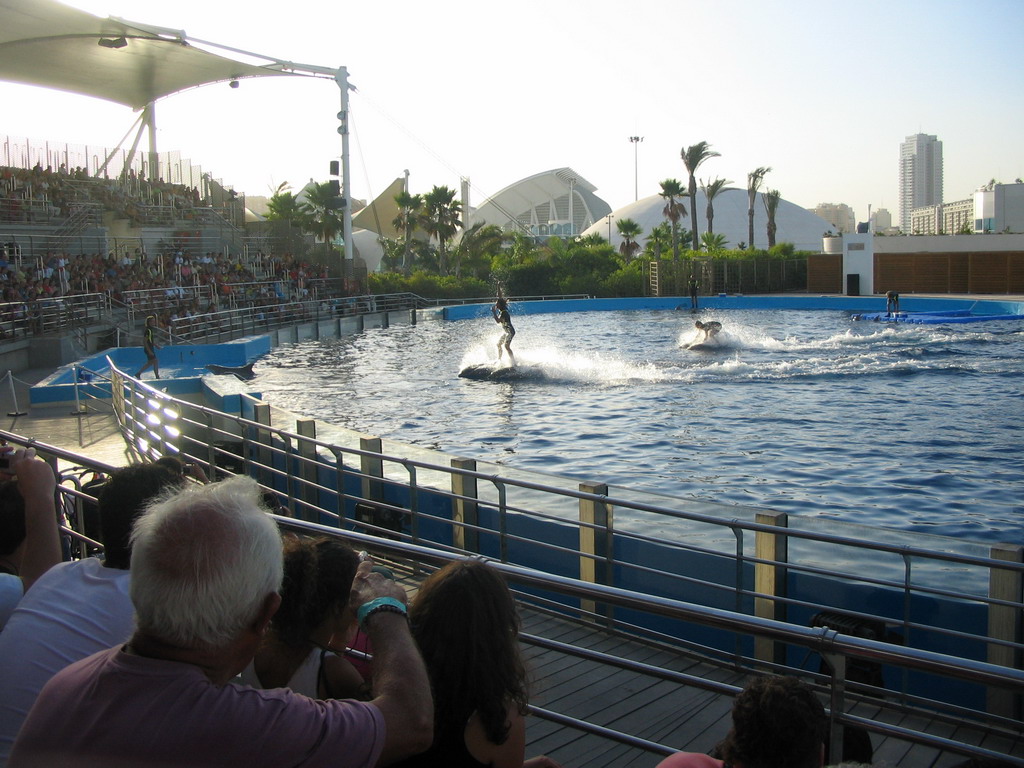 Zookeepers and Dolphins at the Delphinarium area at the Oceanogràfic aquarium at the Ciudad de las Artes y las Ciencias complex