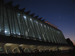 Northeast side of the Museu de les Ciències Príncipe Felipe museum at the Ciudad de las Artes y las Ciencias complex, at sunset