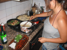 Miaomiao making dinner in our apartment in the suburbs