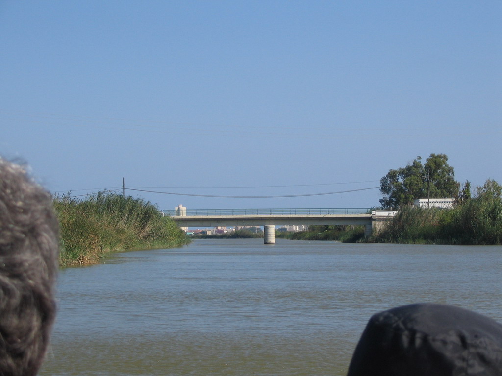 Bridge at the Albufera lagoon, viewed from our tour boat