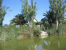 Houses on the shore of the Albufera lagoon, viewed from our tour boat