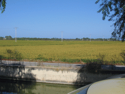 Field at the south side of the city