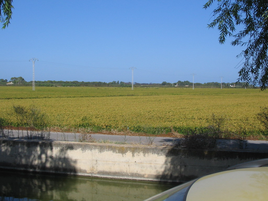 Field at the south side of the city