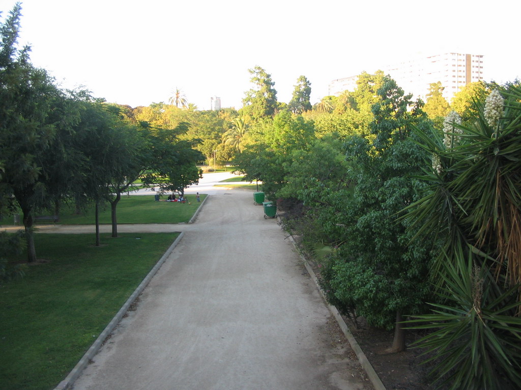 Road at the Jardí del Túria park