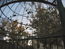 Birds at an aviary at the Jardí del Túria park