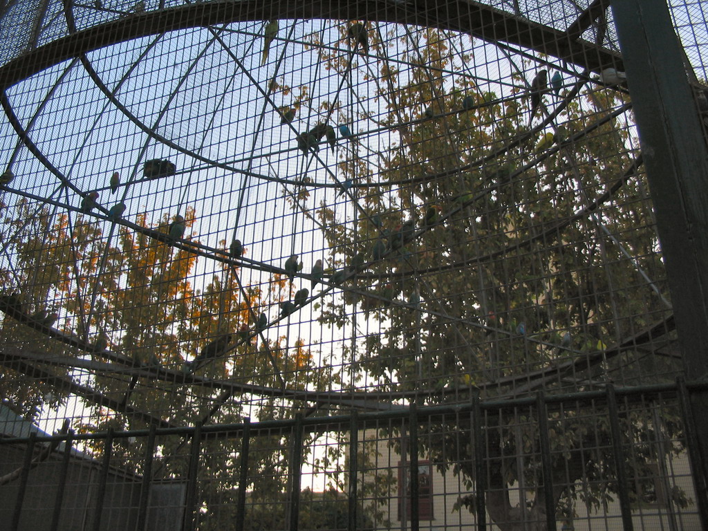 Birds at an aviary at the Jardí del Túria park