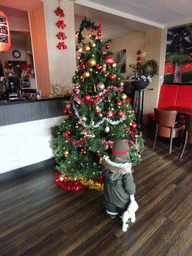 Max with a christmas tree at the Kodoo restaurant