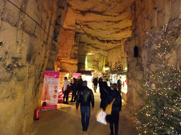 Christmas trees and stands at the christmas market at the Municipal Cave