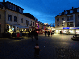 Max at the Berkelstraat street, at sunset