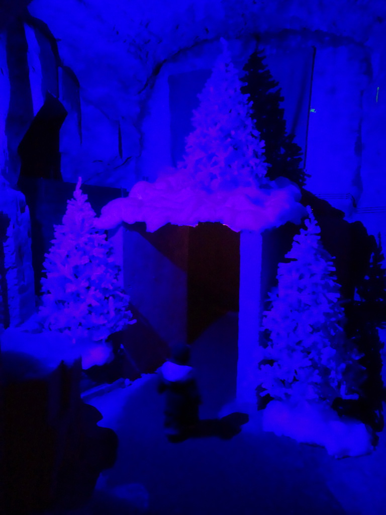 Max at a gate with christmas trees, at the Winter Wonderland Valkenburg at the Wilhelmina Cave