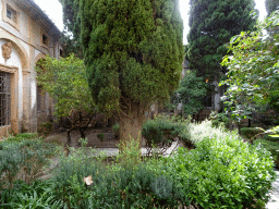 Garden of the Carthusian Monastery Valldemossa museum