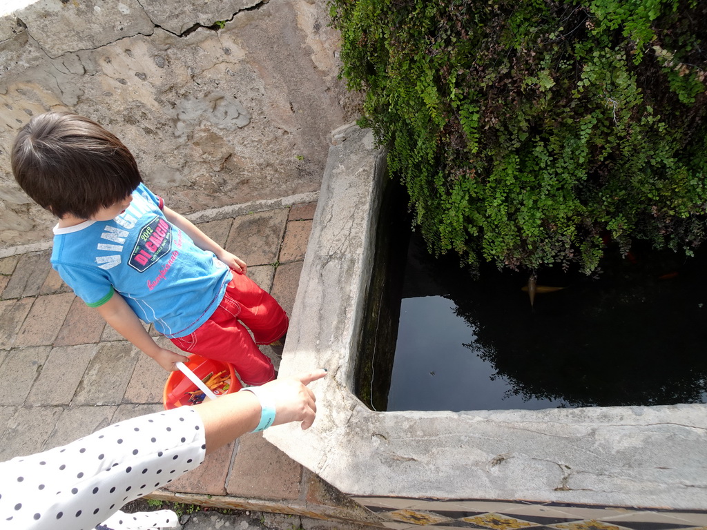 Max with a bucket and fishes at the garden on the southeast side of the Carthusian Monastery Valldemossa museum