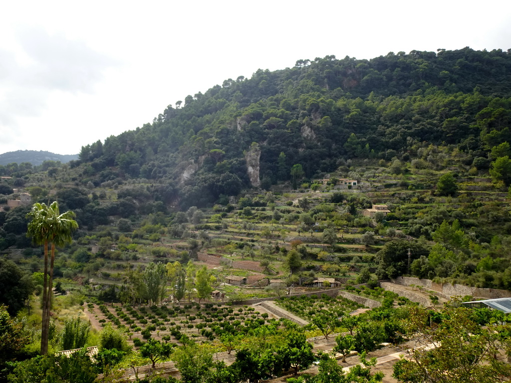 The southwest side of the town, viewed from the garden on the southeast side of the Carthusian Monastery Valldemossa museum